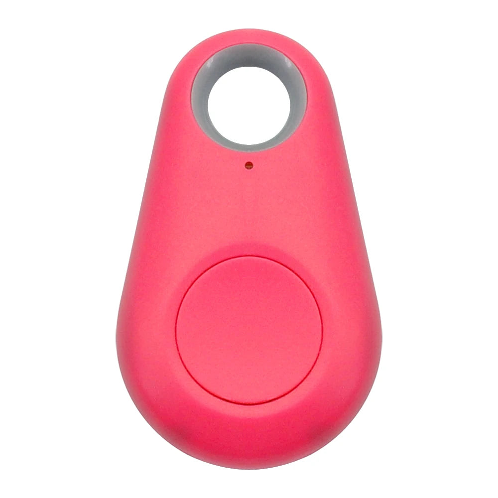 Pet Smart GPS Tracker
